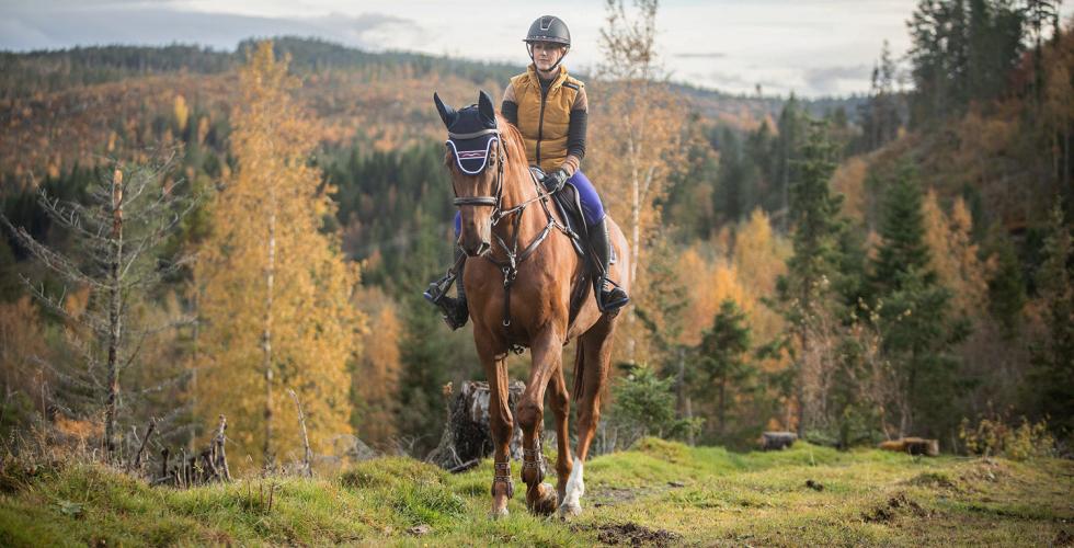 Høstlandskap med en kvinnelig rytter på en brun hest